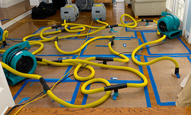 Professional Crawl Space Water Removal technician working in Plymouth, MI
